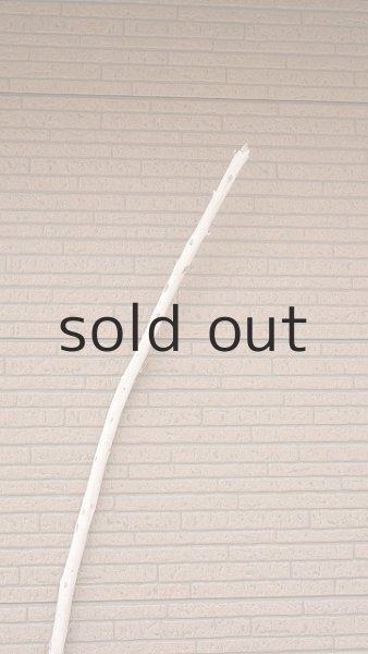 画像4: 棒流木・長尺 (4)