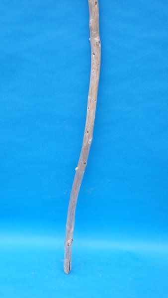 画像2: 棒流木・長尺 (2)