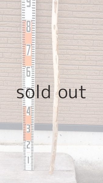 画像5: 棒流木・長尺 (5)