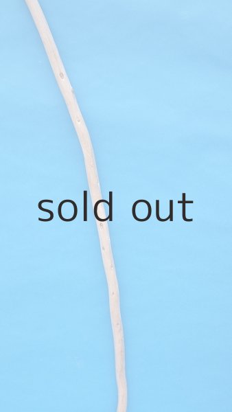 画像3: 棒流木 (3)