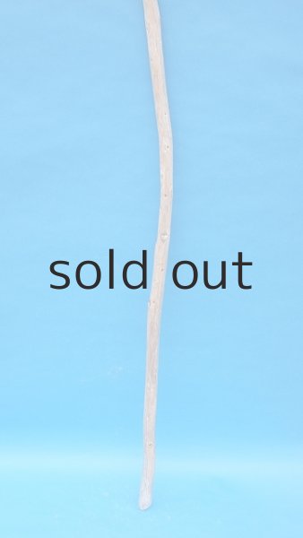 画像2: 棒流木・長尺 (2)