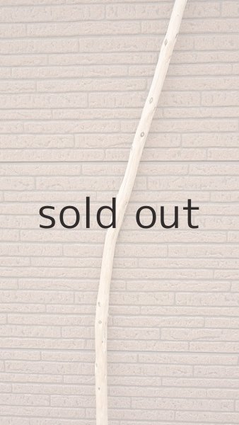 画像3: 棒流木・長尺 (3)