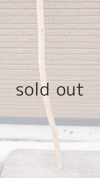 画像2: 棒流木・長尺 (2)