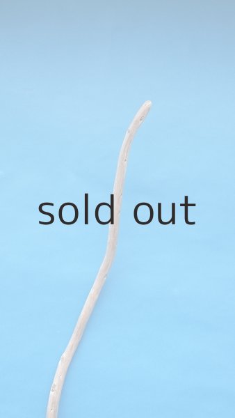 画像4: 棒流木・長尺 (4)