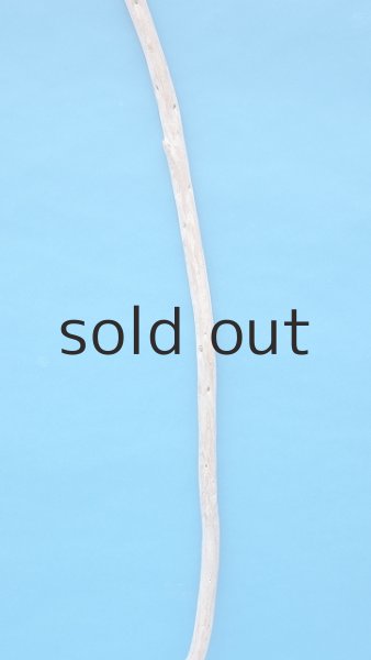 画像3: 棒流木・長尺 (3)