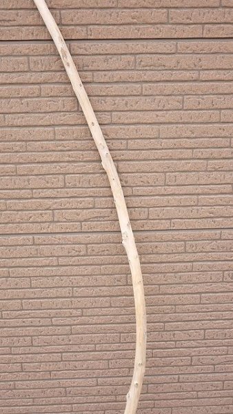 画像3: 棒流木・長尺 (3)