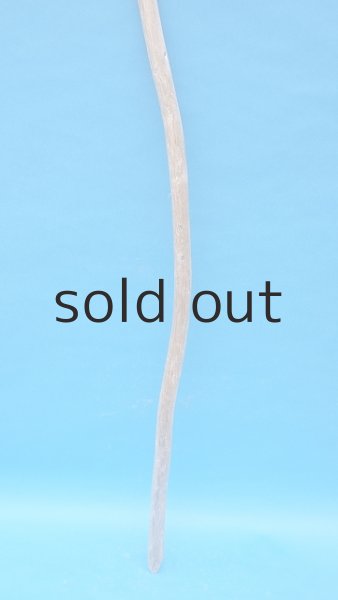 画像2: 棒流木・長尺 (2)