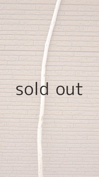 画像3: 棒流木・長尺 (3)