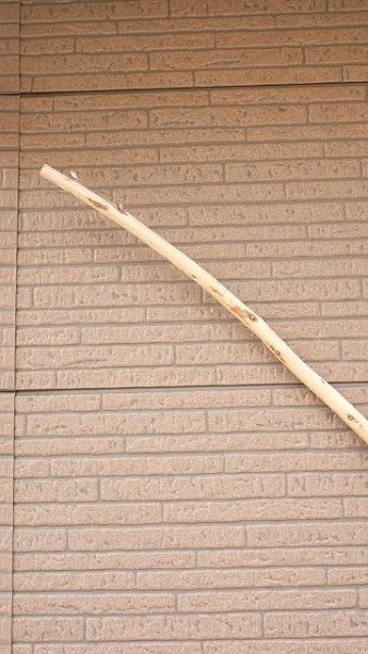 画像5: 棒流木・長尺 (5)