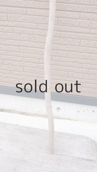 画像2: 棒流木・長尺 (2)