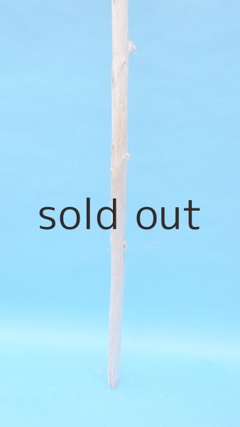 画像2: 棒流木・長尺 (2)