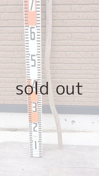 画像5: 棒流木・長尺 (5)