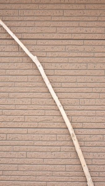 画像4: 棒流木・長尺 (4)