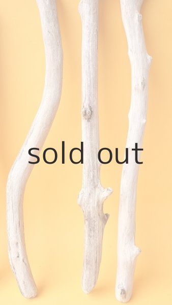 画像6: 小枝流木セット (6)