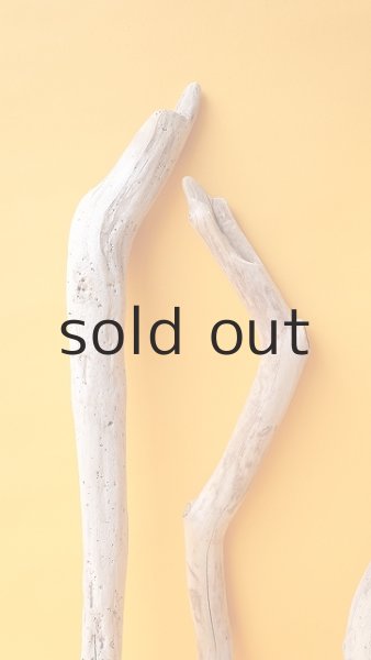 画像4: 小枝流木セット (4)