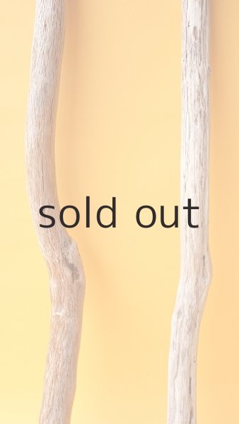 画像3: 小枝流木セット (3)