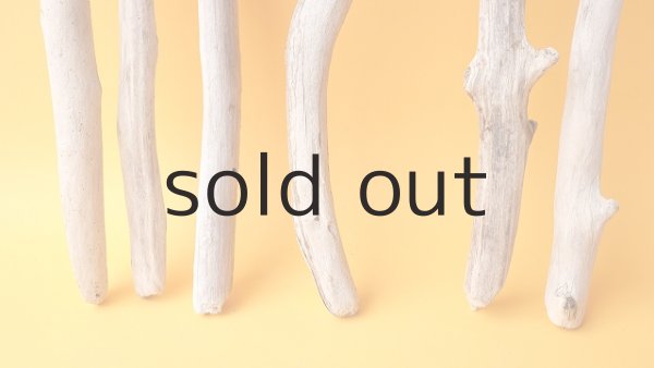 画像2: 小枝流木セット (2)