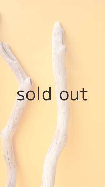 画像5: 小枝流木セット (5)