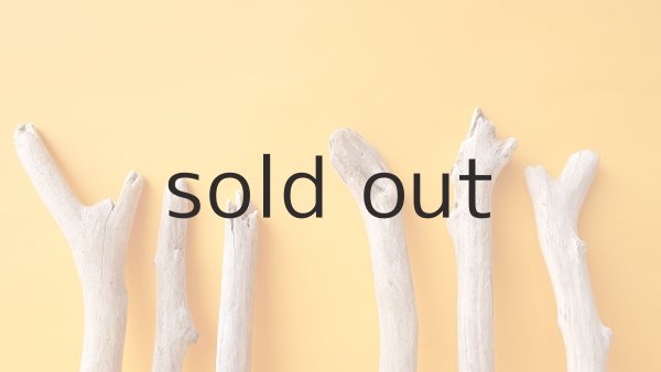 画像4: 小枝流木セット (4)