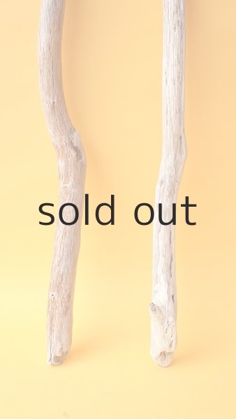 画像2: 小枝流木セット (2)