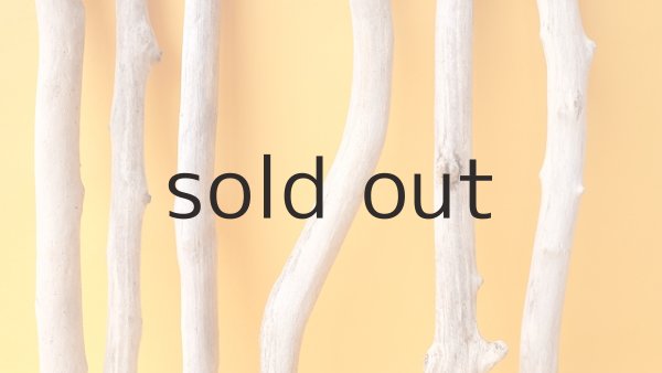 画像3: 小枝流木セット (3)