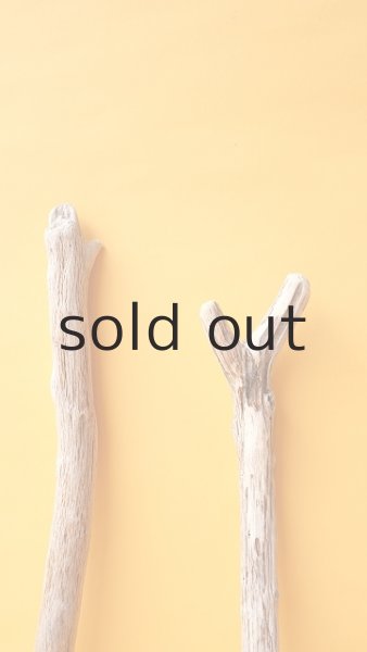 画像4: 小枝流木セット (4)