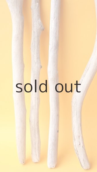 画像5: 小枝流木セット (5)