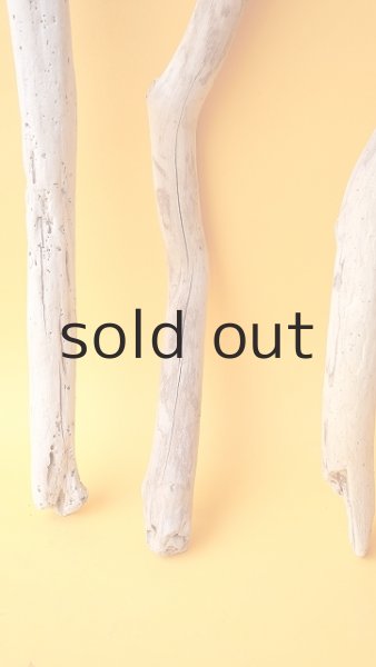 画像2: 小枝流木セット (2)