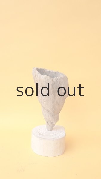 画像2: エアープランツ置き (2)