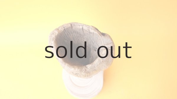 画像3: エアープランツ置き (3)