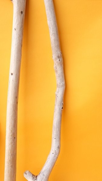 画像6: 小枝流木セット (6)