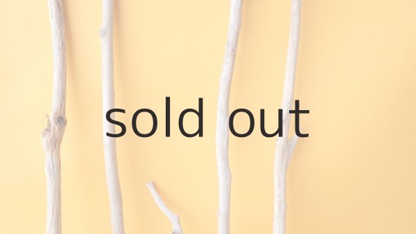 画像3: 小枝流木セット (3)