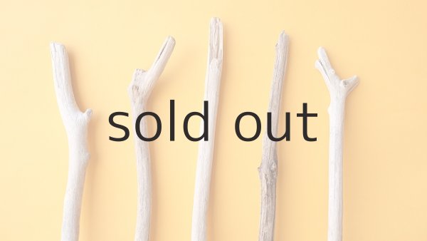 画像4: 小枝流木セット (4)