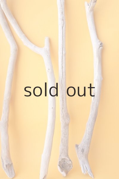 画像5: 小枝流木セット (5)