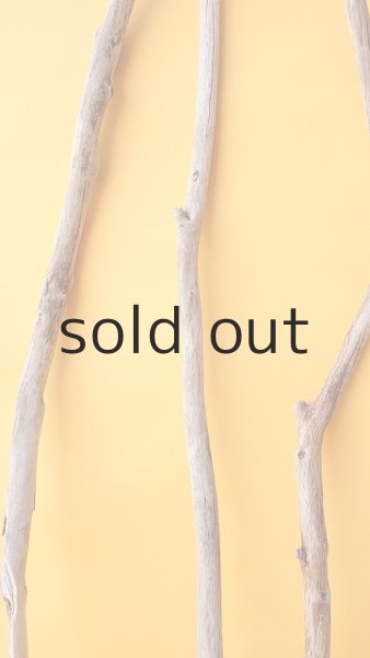 画像3: 小枝流木セット (3)