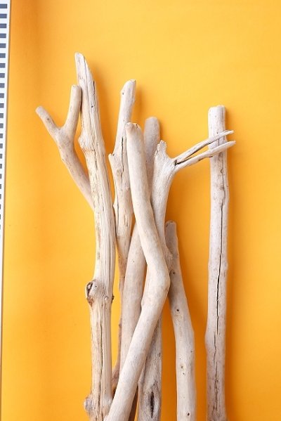 画像2: 小枝流木セット