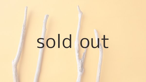 画像4: 小枝流木セット (4)