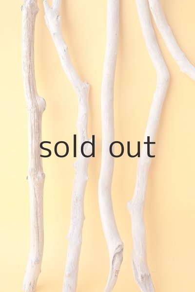 画像4: 小枝流木セット (4)