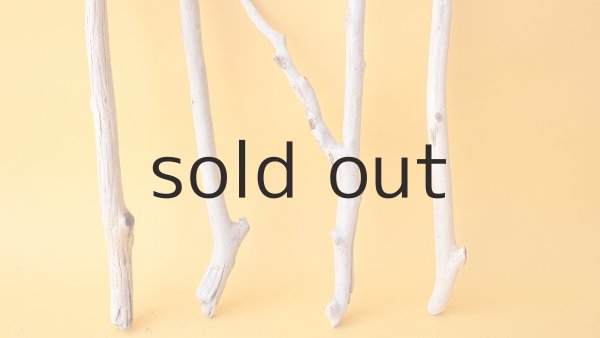 画像2: 小枝流木セット (2)