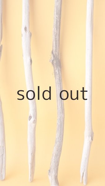 画像6: 小枝流木セット (6)