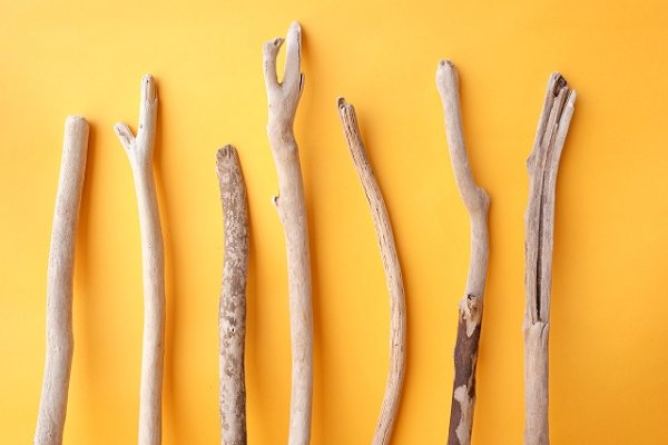 画像3: 小枝流木セット (3)