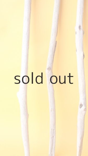 画像5: 小枝流木セット (5)