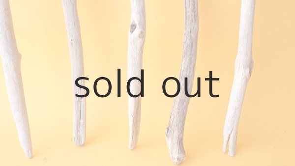 画像2: 小枝流木セット (2)