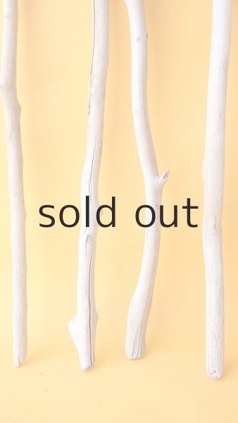 画像2: 小枝流木セット (2)