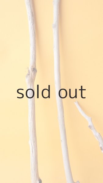 画像5: 小枝流木セット (5)