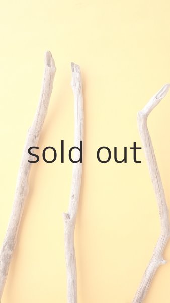 画像4: 小枝流木セット (4)