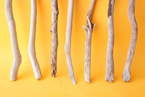 画像2: 小枝流木セット (2)