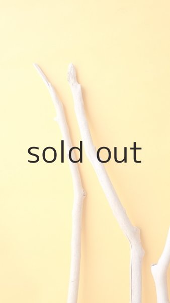 画像4: 小枝流木セット (4)