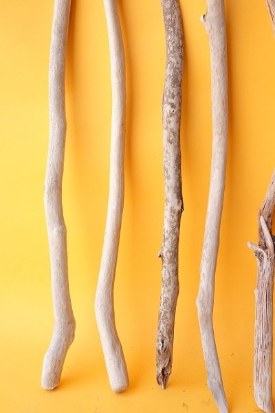 画像4: 小枝流木セット (4)