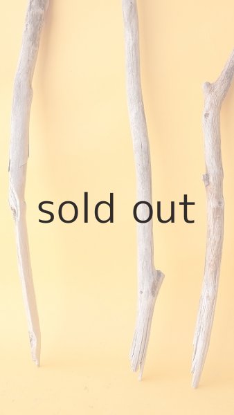 画像2: 小枝流木セット (2)